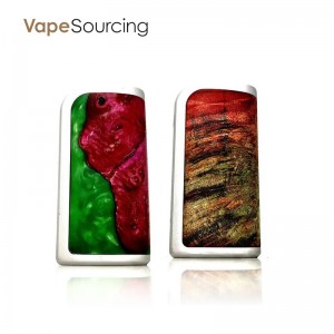 Arctic dolphin Adoni...